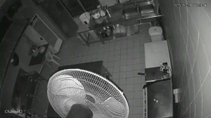 Caméra IP - Malasia