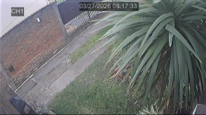 Caméra IP - Uruguay