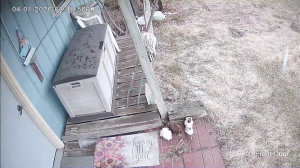 Caméra IP - Vereinigte Staaten von Amerika