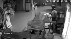 Caméra IP - Thailand