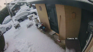 Caméra IP - États-Unis d'Amérique