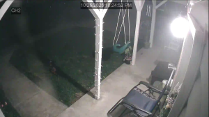 Caméra IP - United States of America