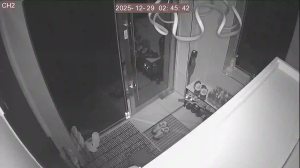 Caméra IP - South Korea