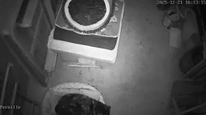 Caméra IP - Norvegia