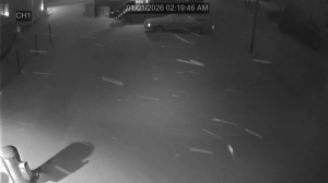 Caméra IP - Vereinigte Staaten von Amerika