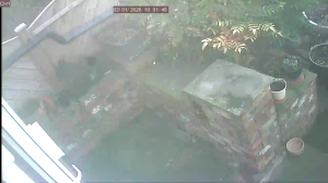 Caméra IP - Vereinigtes Königreich