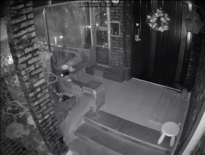 Caméra IP - Corée du Sud