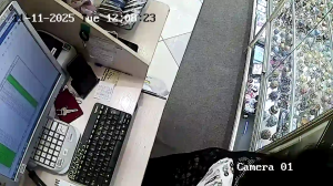 Caméra IP - Russian Federation