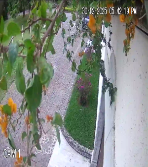 Caméra IP - Guatemala