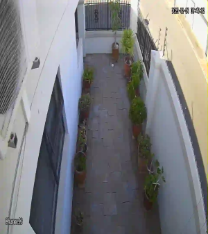 Caméra IP - South Africa