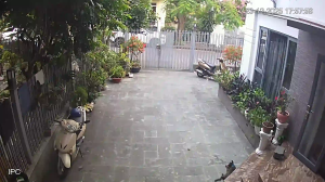 Caméra IP - Vietnam