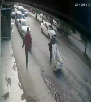 Caméra IP - Türkiye