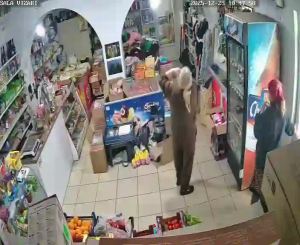 Caméra IP - Moldavia