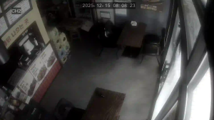 Caméra IP - Corée du Sud