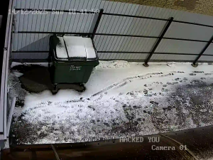 Caméra IP - Russian Federation