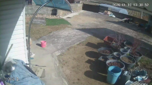 Caméra IP - South Korea