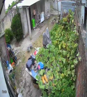 Caméra IP - Argentina