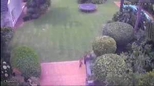 Caméra IP - South Africa