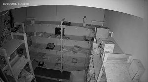 Caméra IP - Russische Föderation