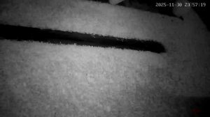 Caméra IP - Argentina