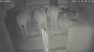 Caméra IP - Austria