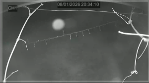 Caméra IP - Francia