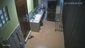 Caméra IP - Malesia