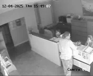 Caméra IP - Afrique du Sud