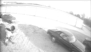 Caméra IP - Vereinigte Staaten von Amerika