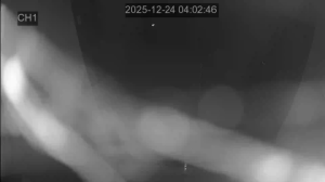 Caméra IP - South Korea