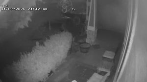 Caméra IP - United States of America