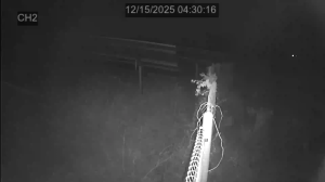 Caméra IP - República de Corea