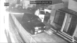 Caméra IP - Giappone