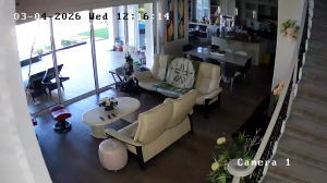 Caméra IP - United States of America