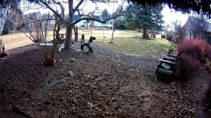 Caméra IP - United States of America