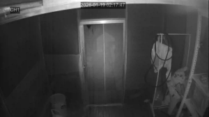 Caméra IP - South Korea