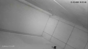 Caméra IP - Argentine