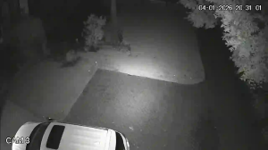 Caméra IP - Südafrika