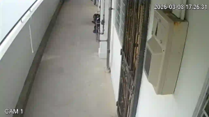 Caméra IP - Singapore