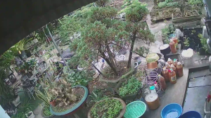 Caméra IP - Vietnam