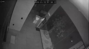 Caméra IP - Corée du Sud