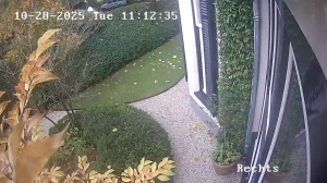 Caméra IP - Netherlands