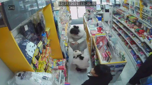 Caméra IP - Corée du Sud