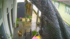 Caméra IP - Malaisie