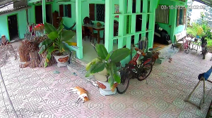 Caméra IP - Vietnam