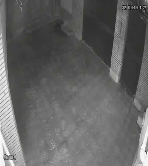 Caméra IP - Islamic Republic of Iran