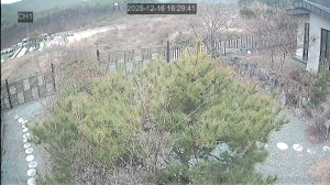 Caméra IP - South Korea