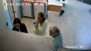 Caméra IP - Italie