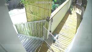 Caméra IP - Neuseeland