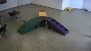 Caméra IP - United States of America